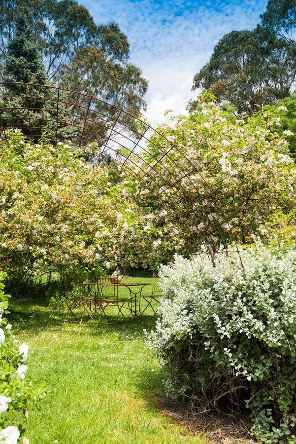Bed and Breakfast Hollyhock à Macedon Extérieur photo